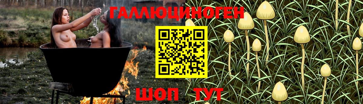 Псилоцибиновые грибы Psilocybe  Вход с VPN  Новоалександровск  Псилоцибиновые грибы мухоморы 